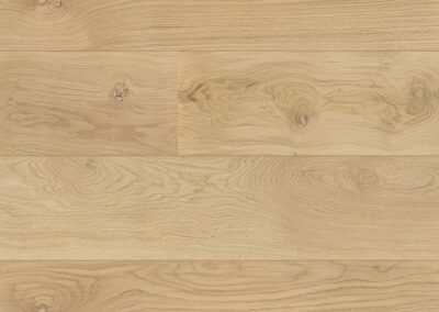 MB 11164 European Oak BC Dazy