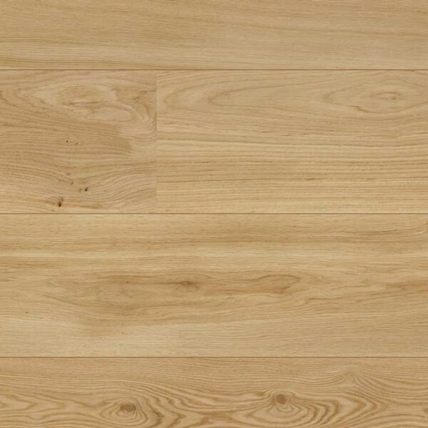 MB 11282 European Oak ABC Pure Line