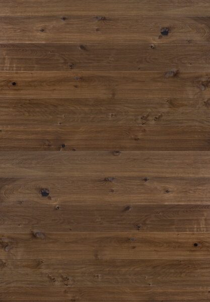 Atelier Heritage Traccia Firenze 1504